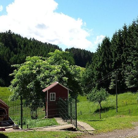 Ferienwohnung Ringwald Biederbach Baden-Württemberg Esterno foto