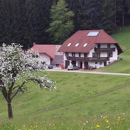 Ferienwohnung Ringwald Biederbach Baden-Württemberg Esterno foto