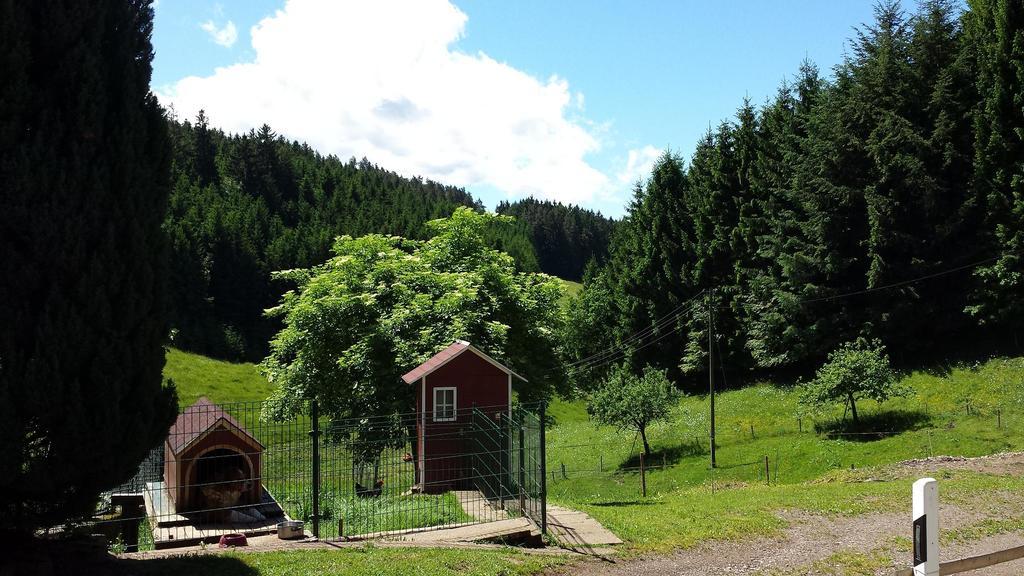 Ferienwohnung Ringwald Biederbach Baden-Württemberg Esterno foto